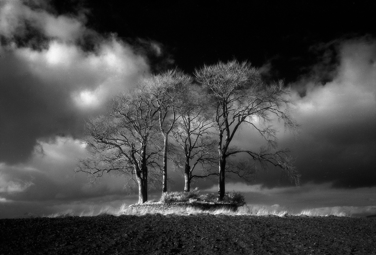 infrared IR scotland large format black & white efke medium format Hasselblad