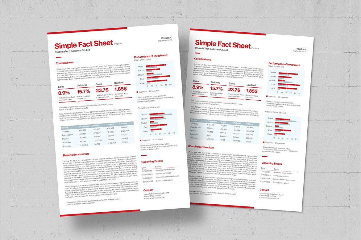factsheet information Data report summary case study document template file
