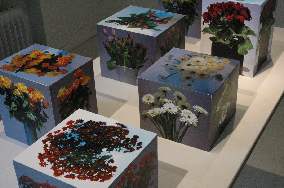 Adobe Portfolio Flowers  exhibition sculpture  2d
