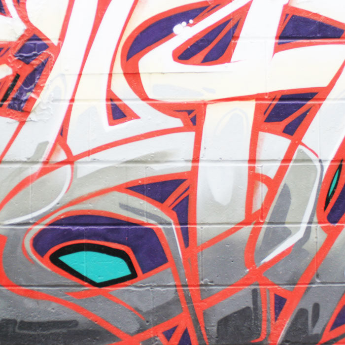 Toronto  Graffiti art streetart HSA piece Street queen alleys skam slon REN more Chuck sight