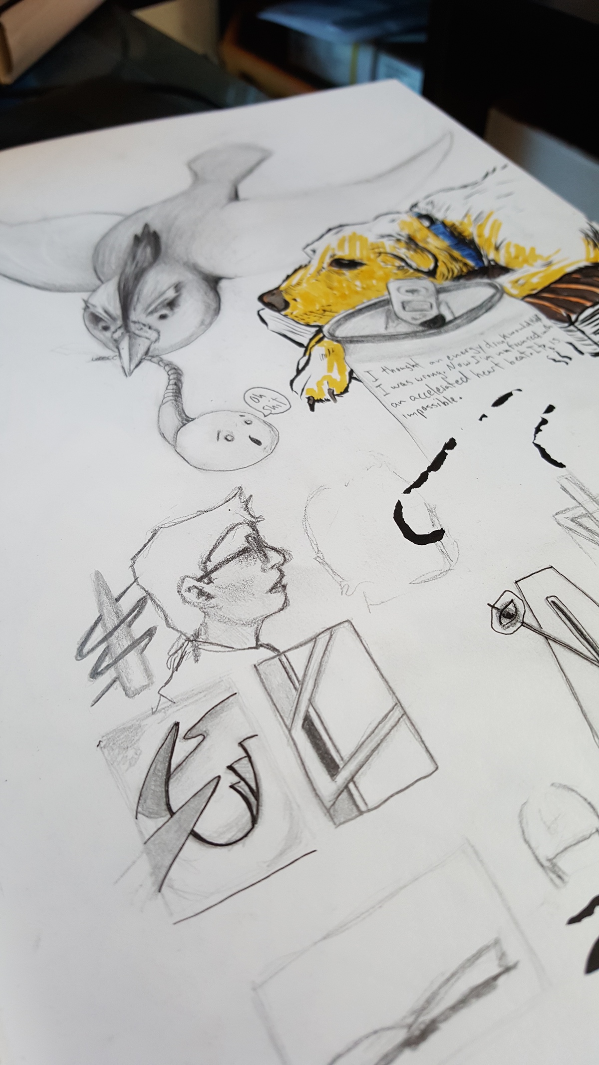 Adobe Portfolio sketchbook experiments Fun exploring characters pen ink graphite paint acrylic watercolor gouache process sketches Stillman and Birn