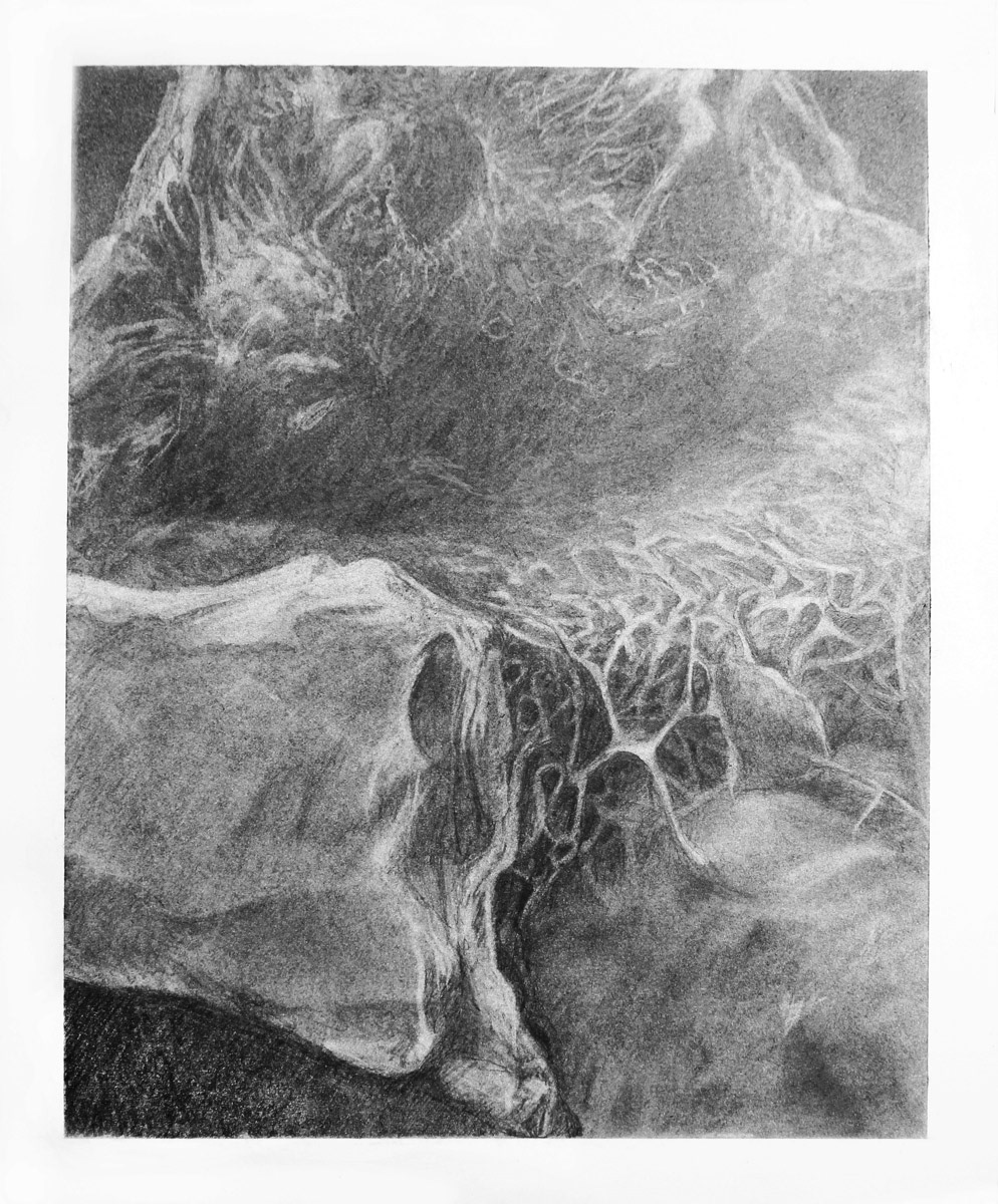 illusionism pencil charcoal black & white texture gradient moch bends contrast Trompe L'oeil study observation anatomy