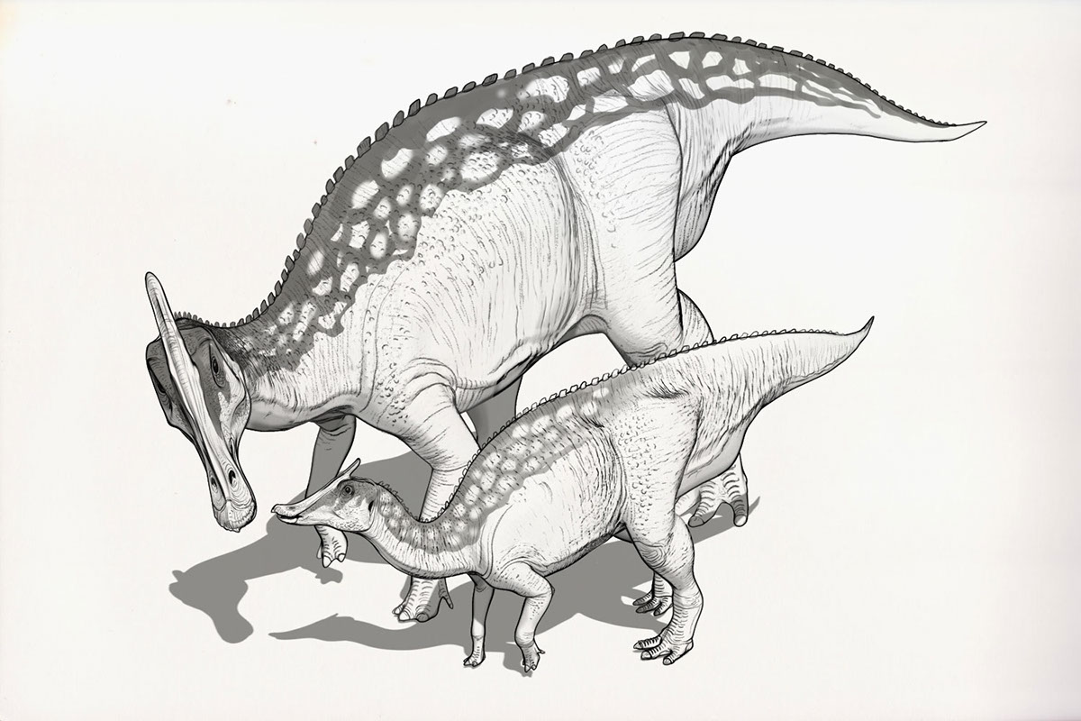 Dinovember drawdinovember paleoart paleontology dinosaurs draw dinovember 2...