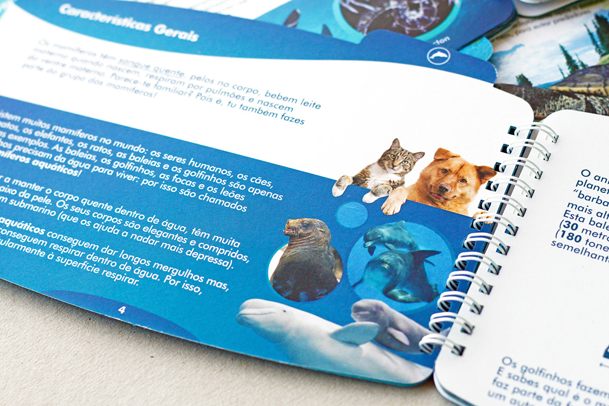 darioviegas dario viegas zoomarine book educational Booklet recicle kids Fun activities