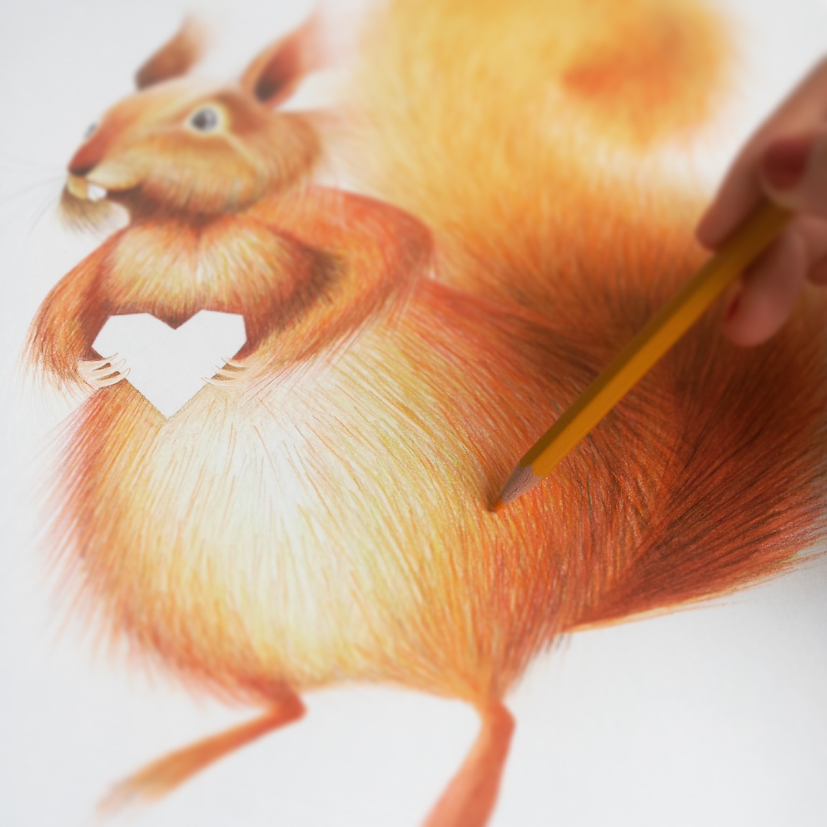 squirrel animal orange heart green forest Nature draw pencil paper