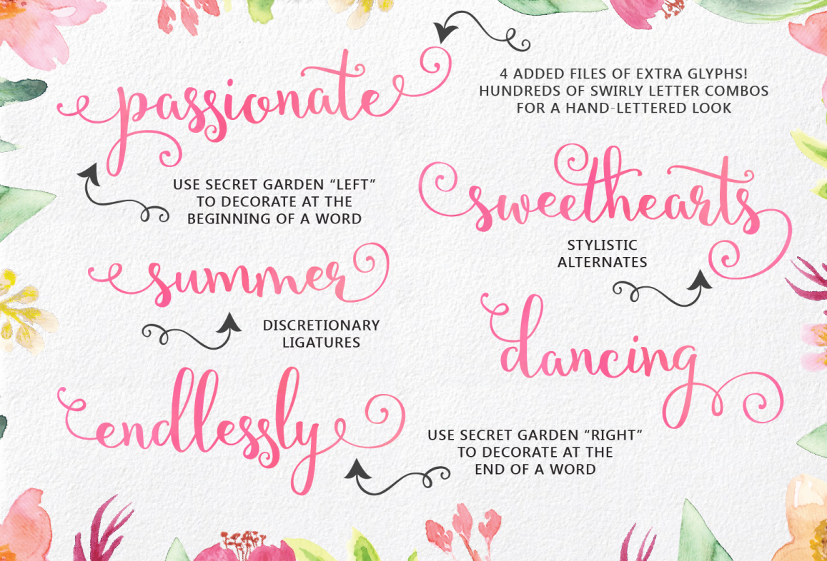 Font Bundle HAND LETTERING Calligraphy   swirly sweet handwriting font hand drawn type cheap fonts