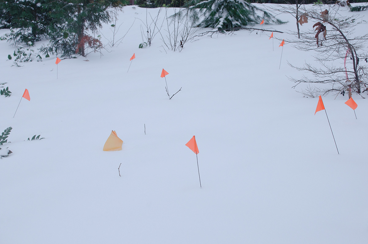 snow flags winter markings Park