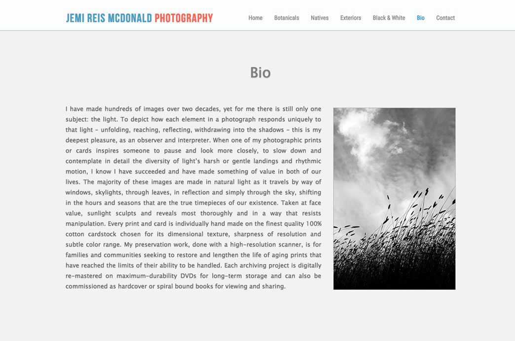 Photography  Website customized word press Great Photos Flowers Nature Web Design 