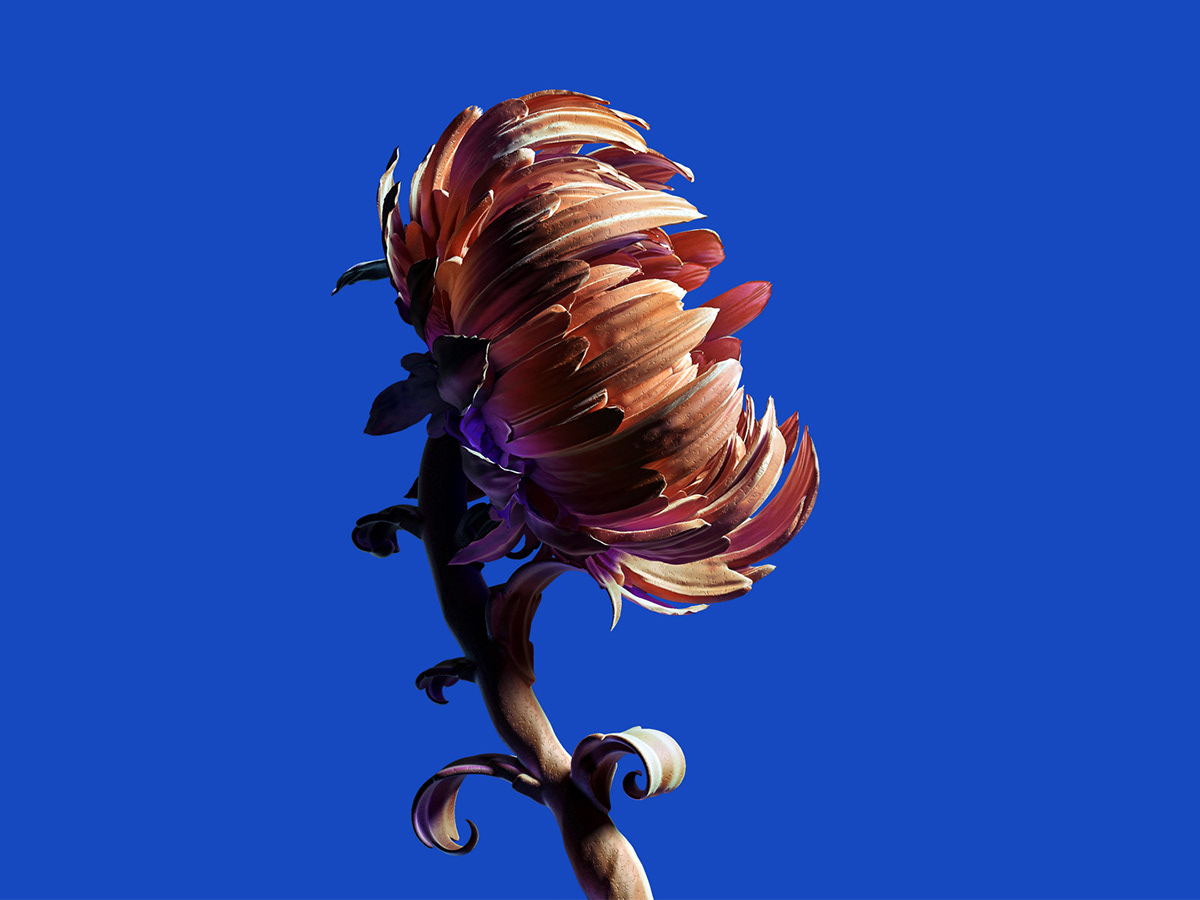 3D algorithm CGI Flora Flowers math Procedural flower Plant