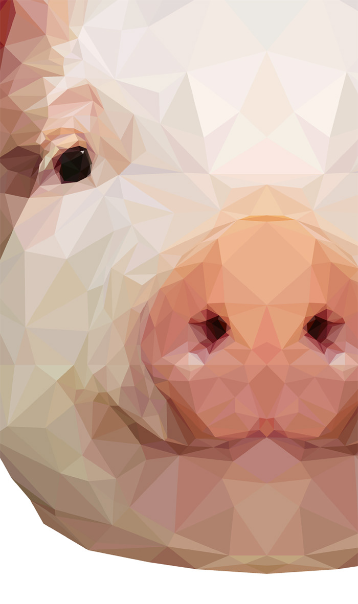 animal animal face indy-visual.com anamoly polygon