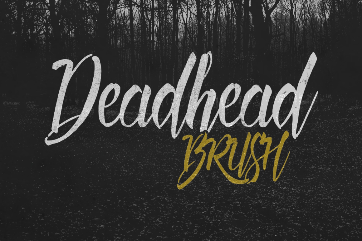 font Typeface lettering HAND LETTERING brush lettering Script brush deadhead brush twicolabs