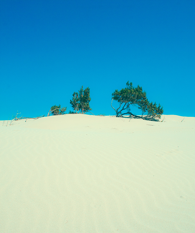 mediterraneo sand beach dune sardinia blue sea spring wave SKY man alone