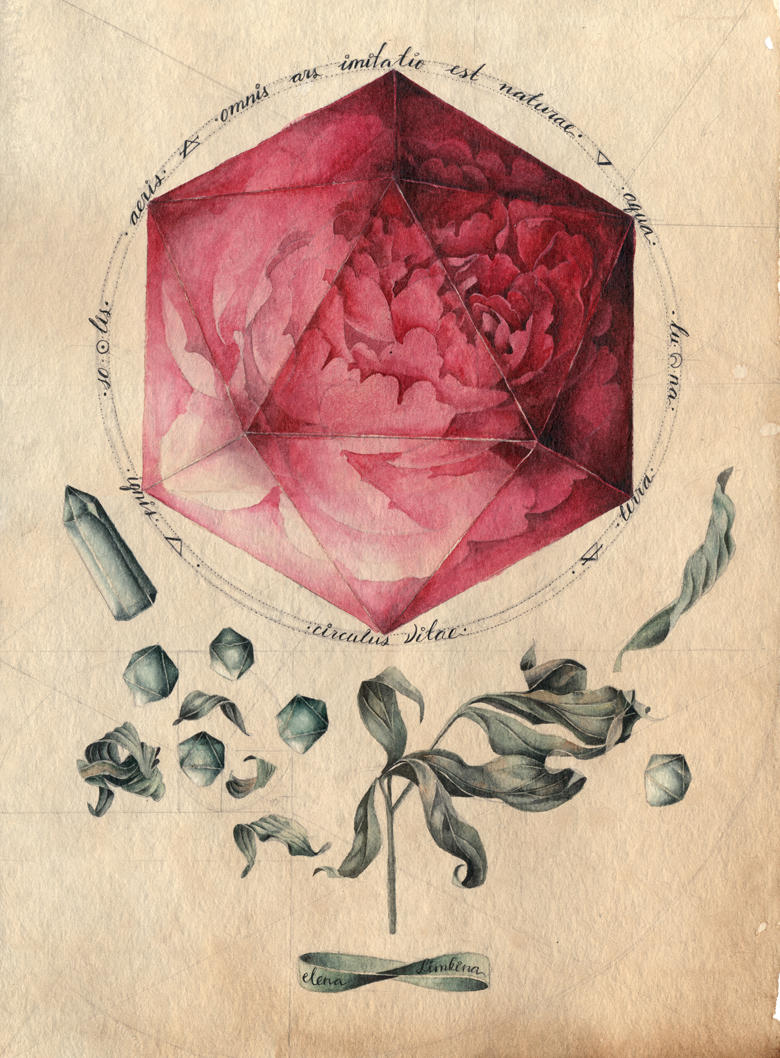 illustrations watercolour watercolor Flowers Gems alchemy geometry