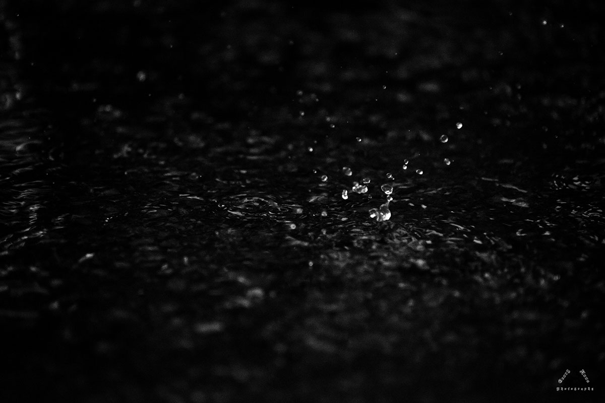 rain water drops water drop black and white
