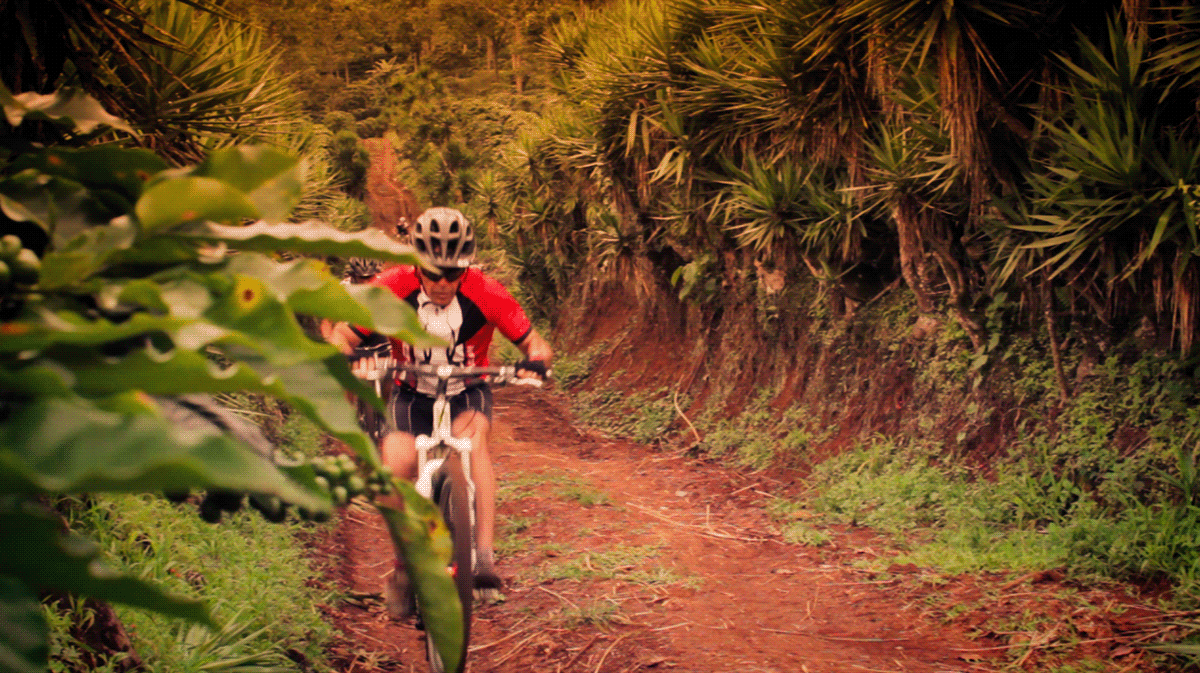 chisco arce Costa Rica mountain bike