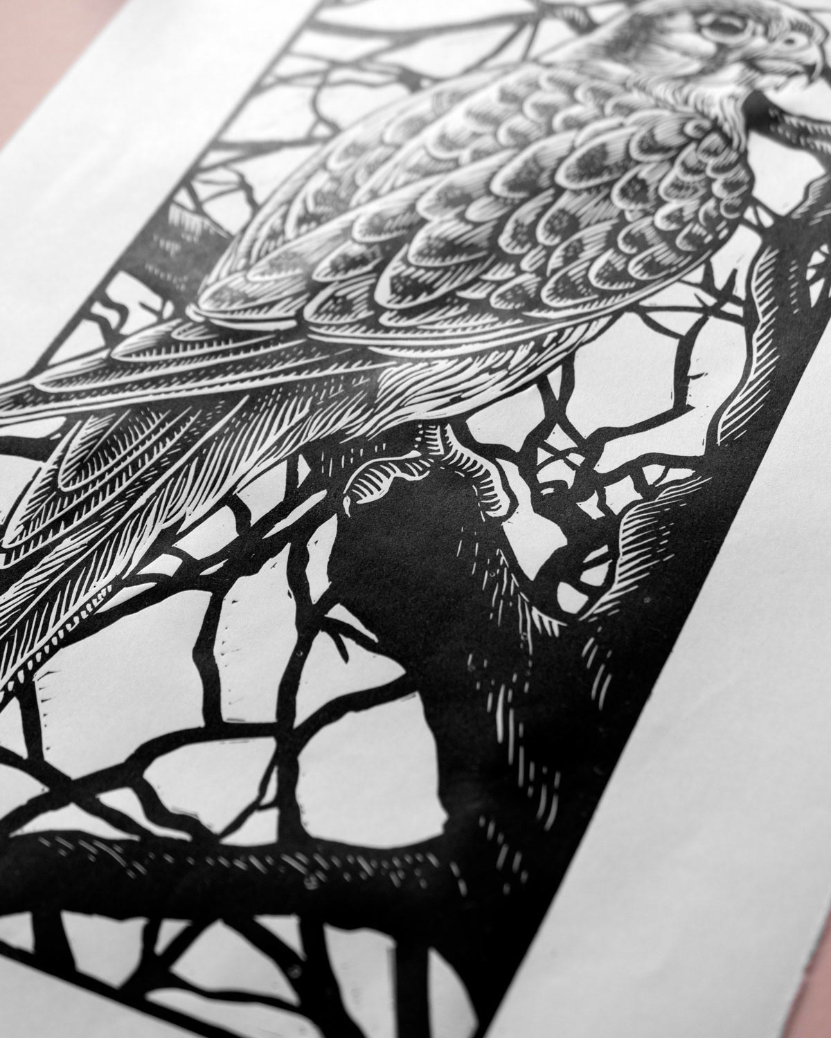 ILLUSTRATION  ink Landscape linocut Nature Printing Printmaker printmaking woodcut