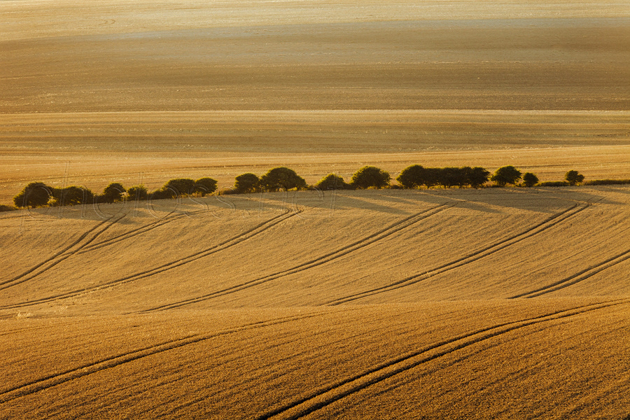 abstract Landscape fields sussex south downs Rolling Hills england