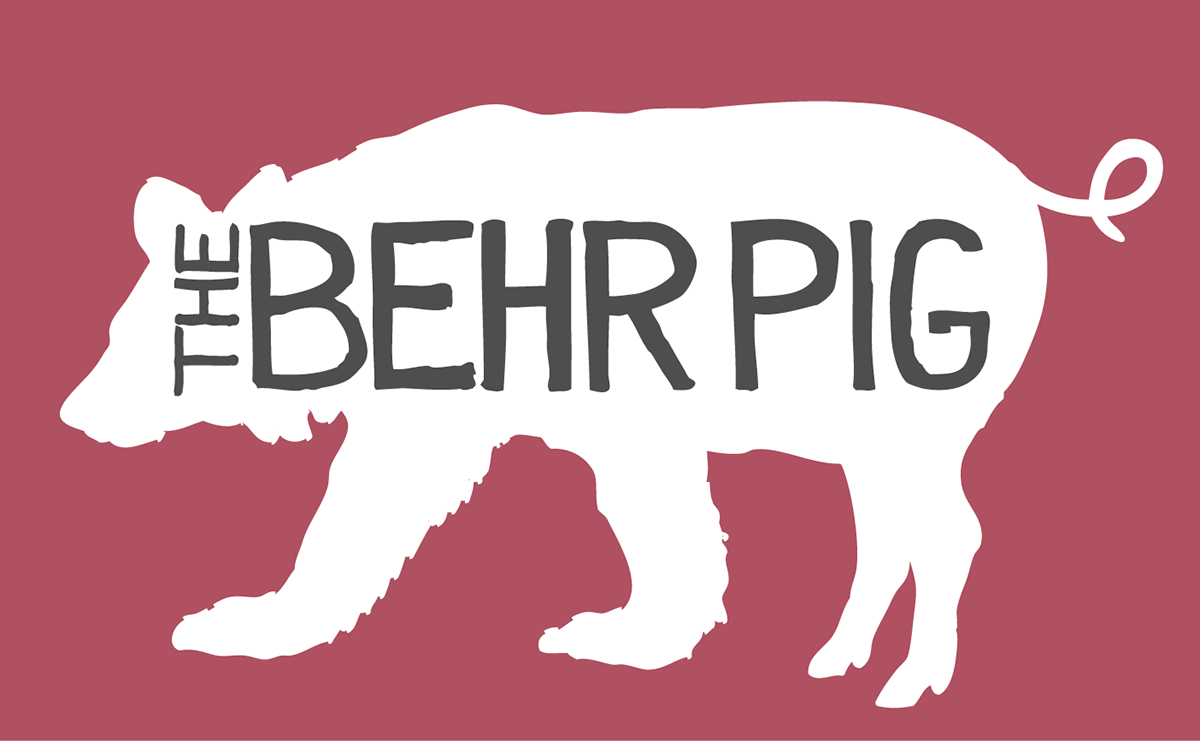 hand-drawn type custom font pig bear