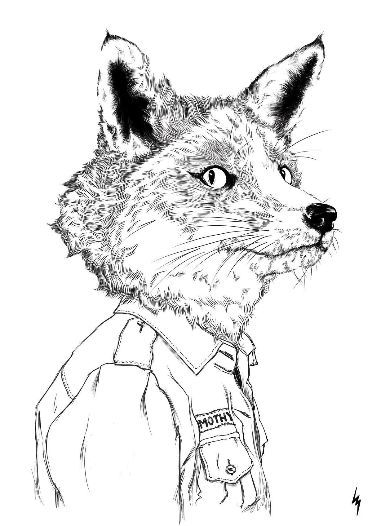 misters mr fox freehand illustration wacom animals portraits FOX