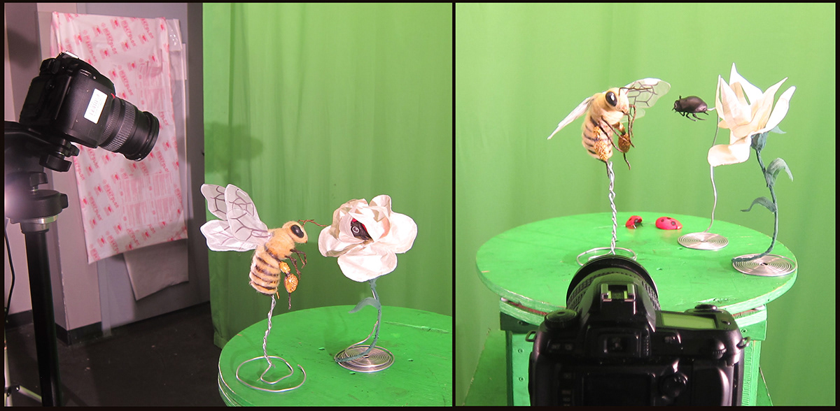 dragonframe stop motion bee ladybug 3D illustration motion media