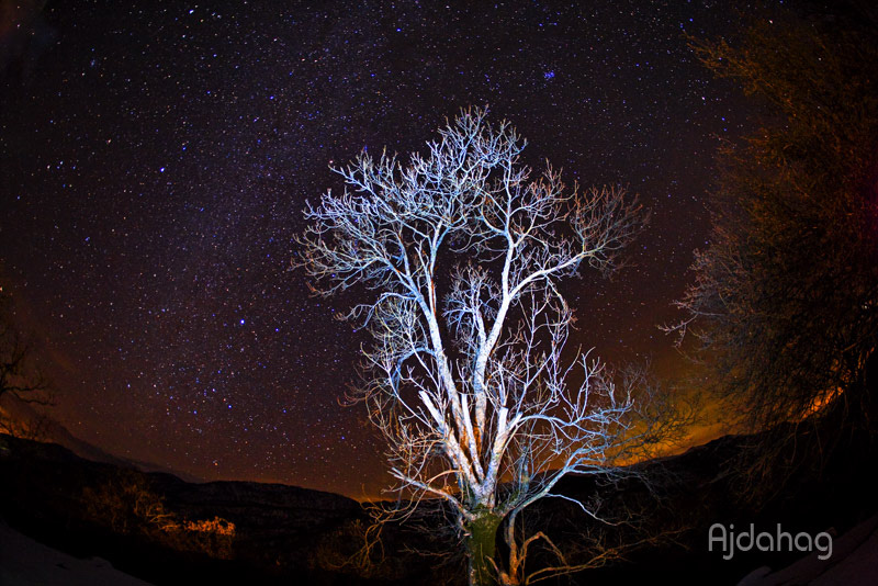 stars KY forest.winter night