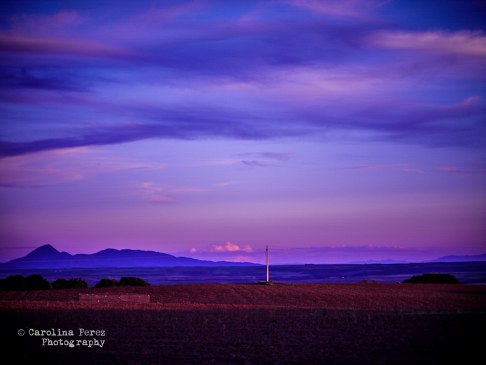 violet Violet Roar sunset Colorado