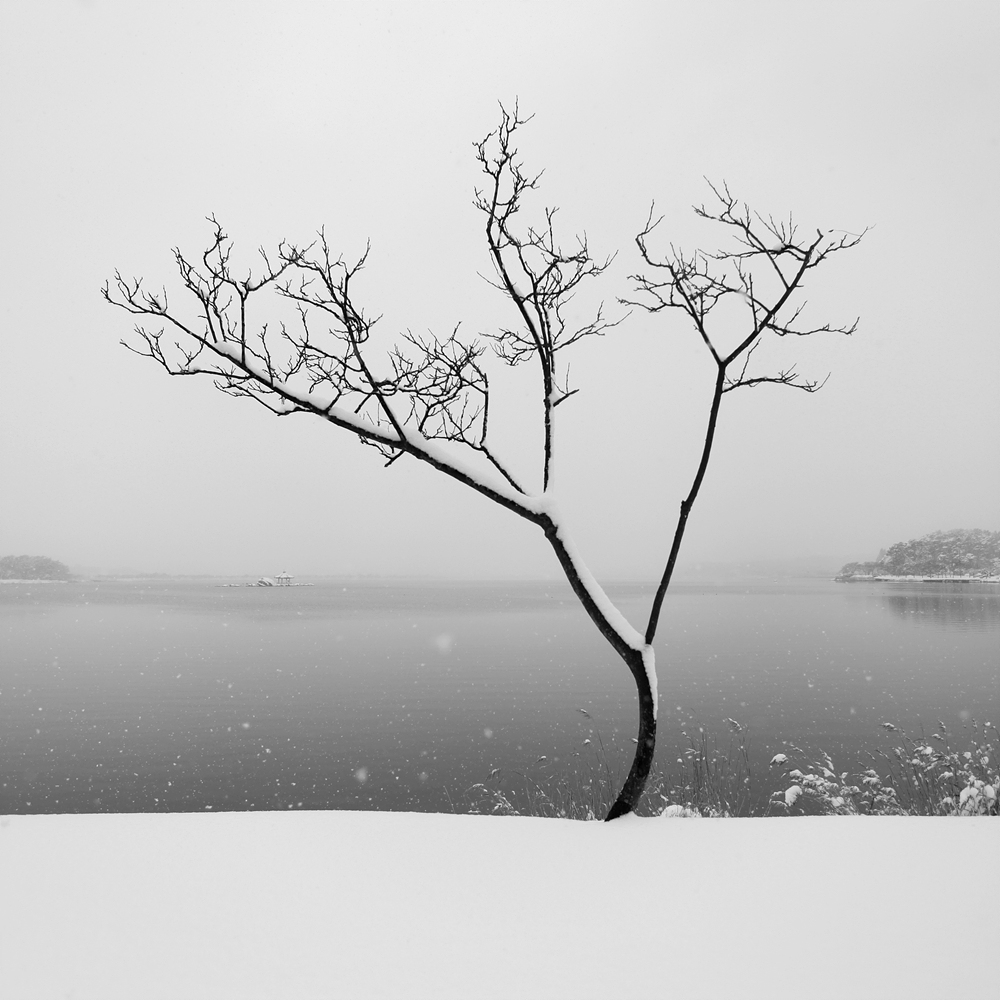 South Korea fog snow lake Gyeongpo maka winter