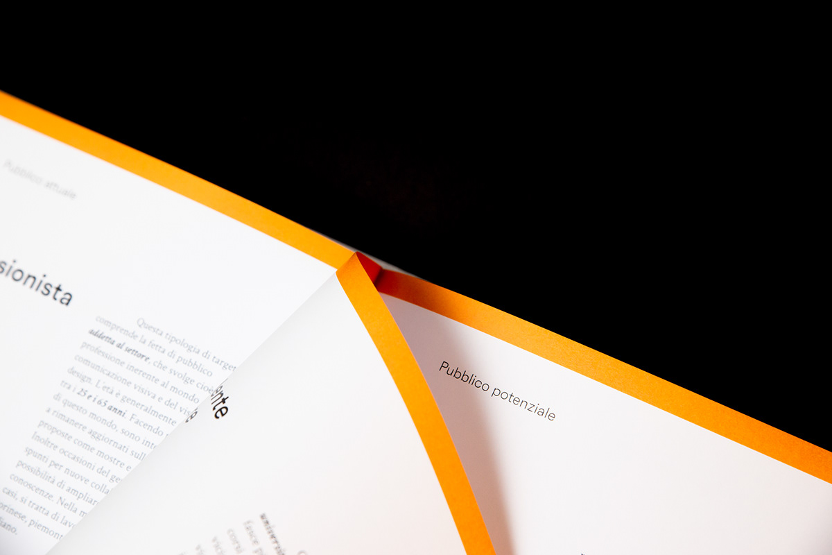 bachelor degree BA editorial graphic design GRAPHIC DAYS Photography politecnico di torino