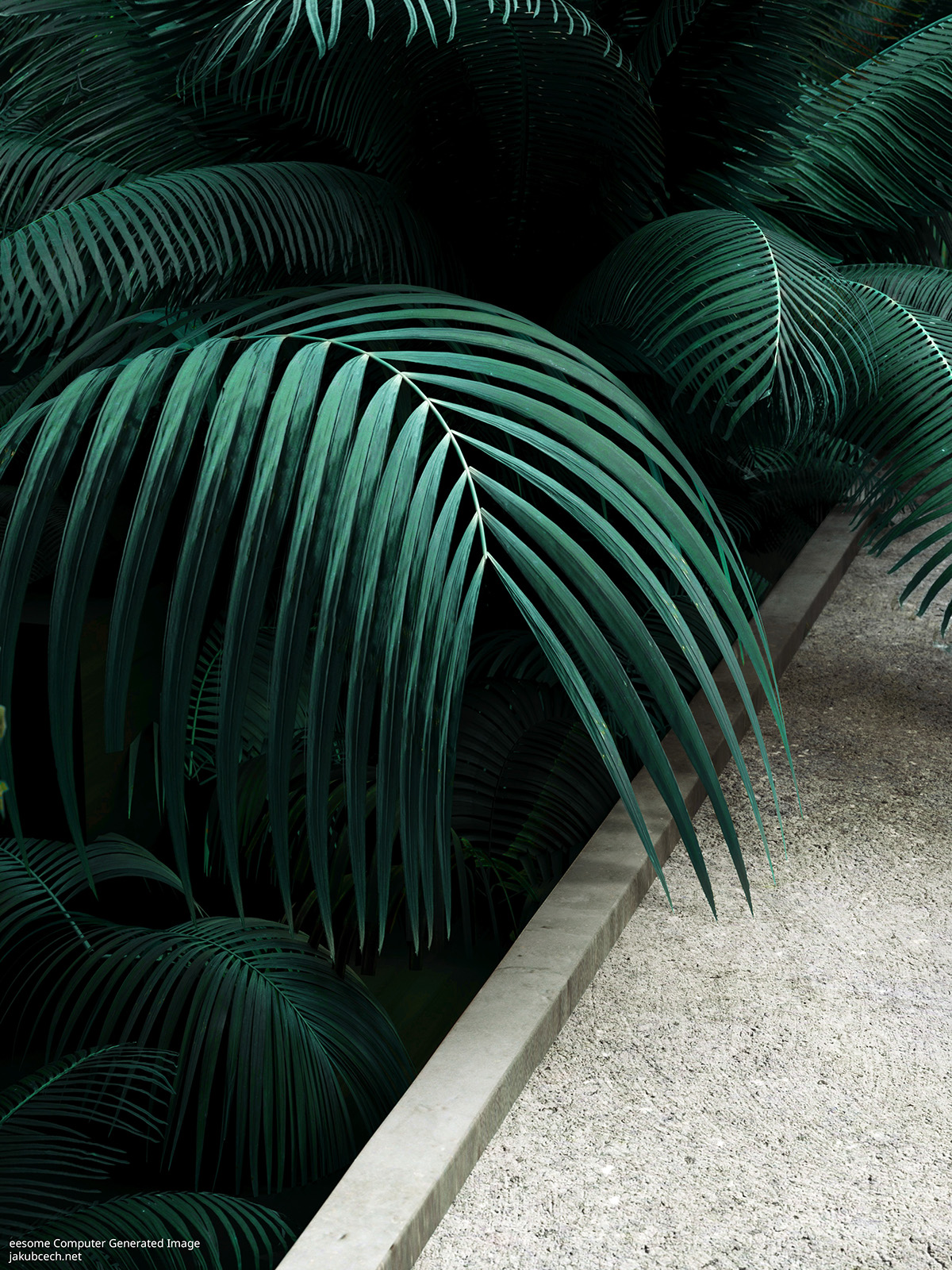 Manifest CGI Render corona Tropical garden Computer Generated image eesome