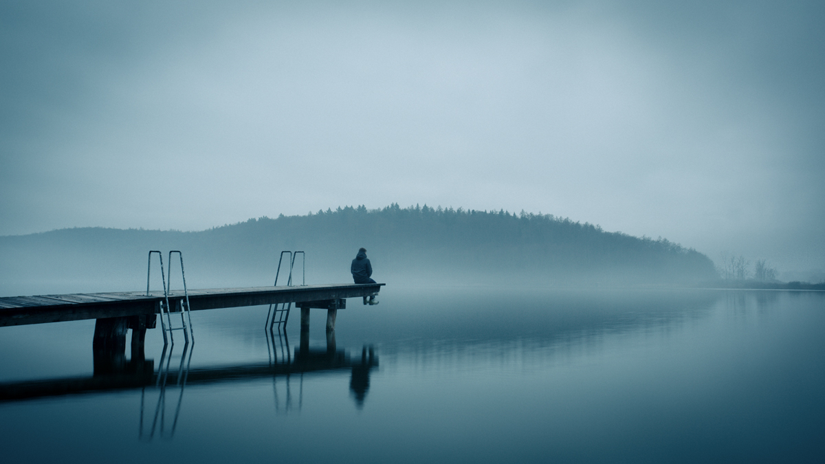 mute silence meditation calm MORNING fog Nature lake pier blue mist DAWN misty Tree  wood