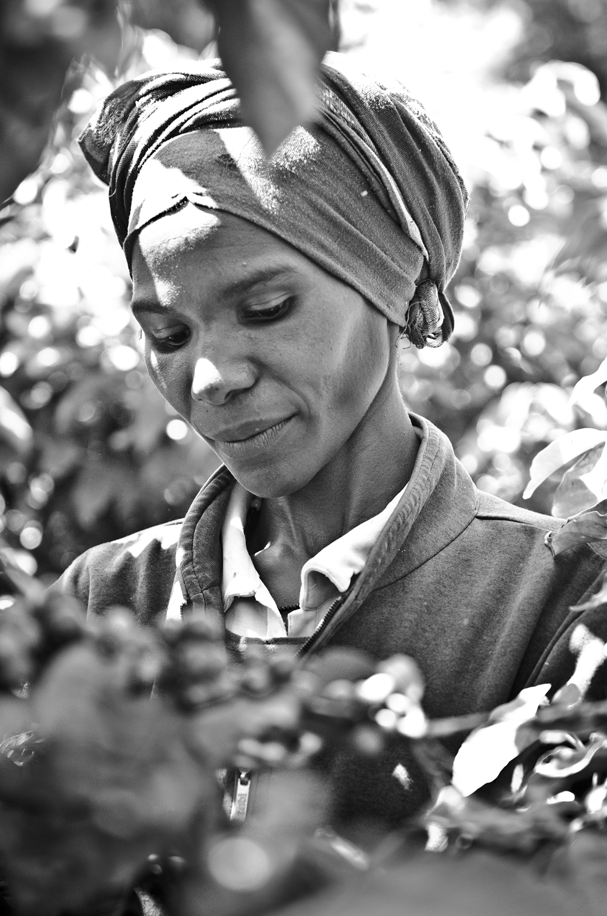 Coffee coffee production Travel travel photography portraits Tanzania africa