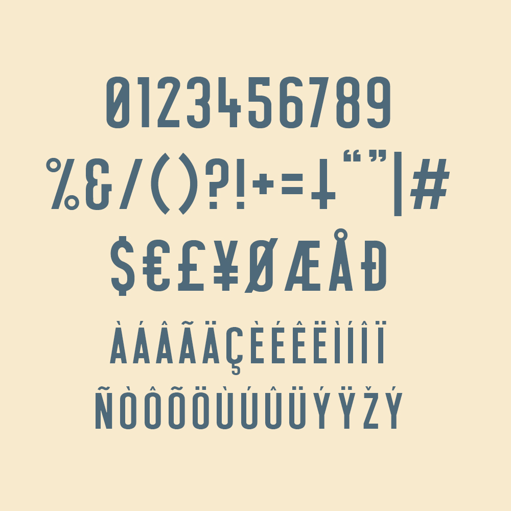 weekday type Typeface tendollarfonts everyday condensed sans serif gothic clean experimental