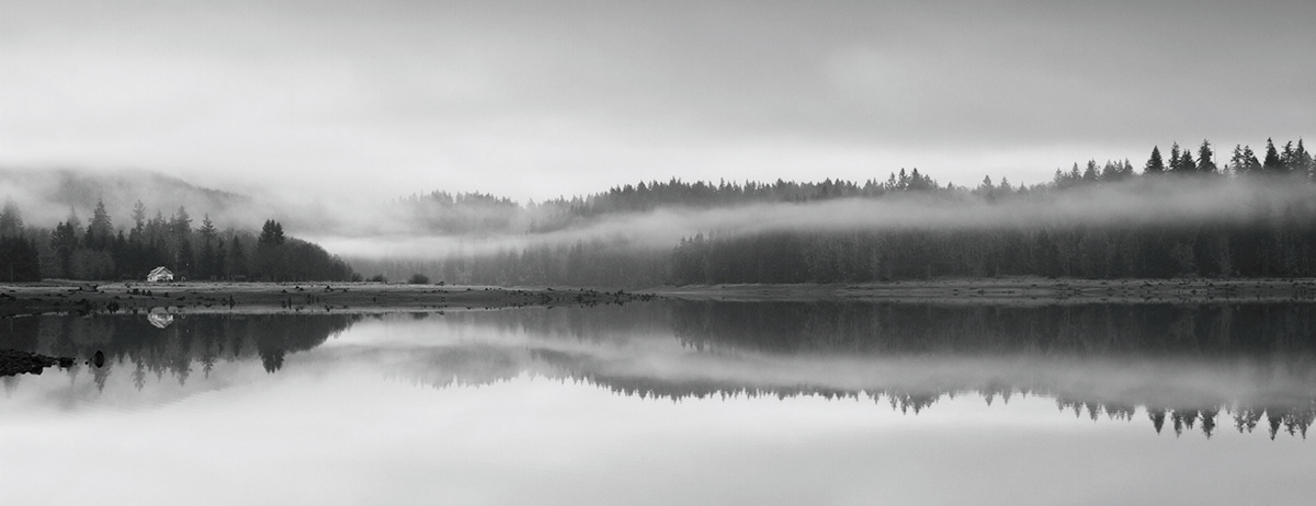 black and white b&w Nature lake reflection MORNING foggy mt. rainier rainier Alder Lake Alder water stump Tree 
