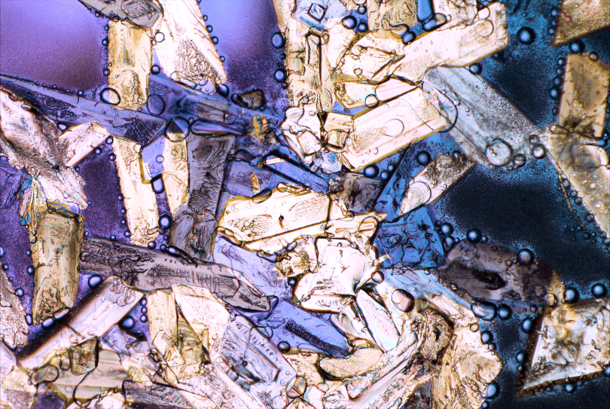 abstract Aerial crystals dissolve gif macro microscope NIKON MICROSCOPE science seattle