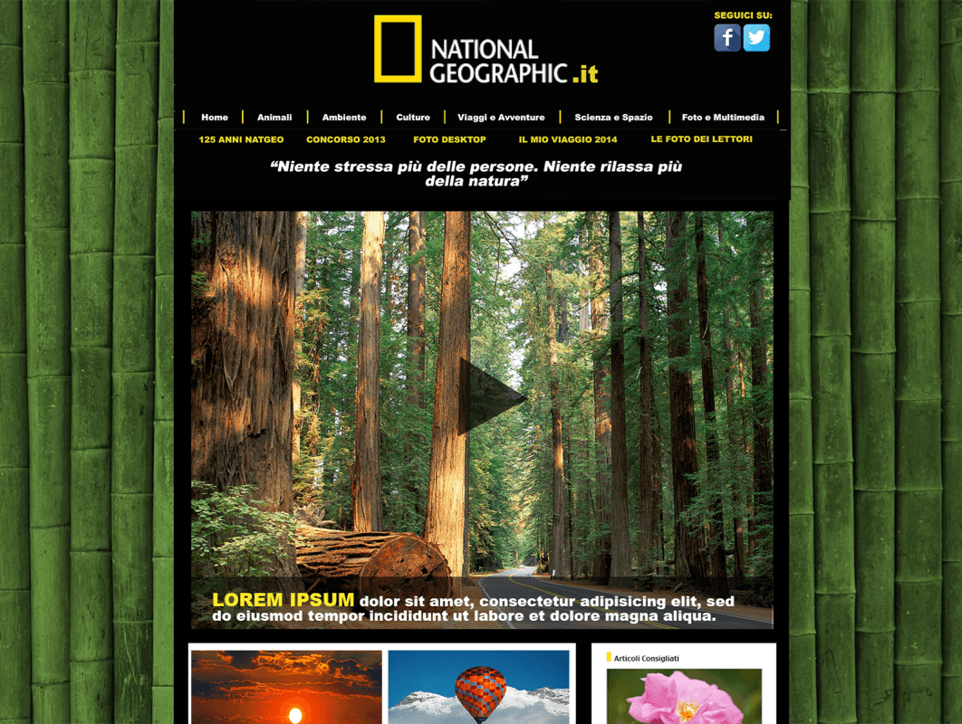 Web site Website redesign experiene national geographic NATGEO design Nature graphic colours