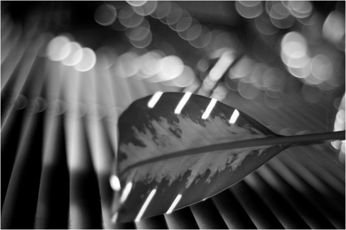 Music of light ARTIST Mirza Ajanovic POETIC Photography Visual expression of music in Photography Abstract Art black & white photography fine art photography exploring light light and darkness counterpoints Limited Edition Prints