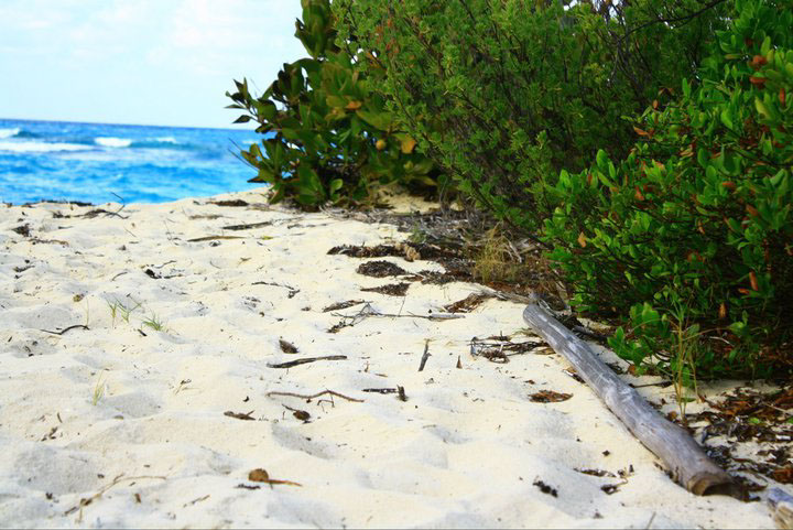 Adobe Portfolio cuba playa beach Fotografia Photography  Nikon cayos