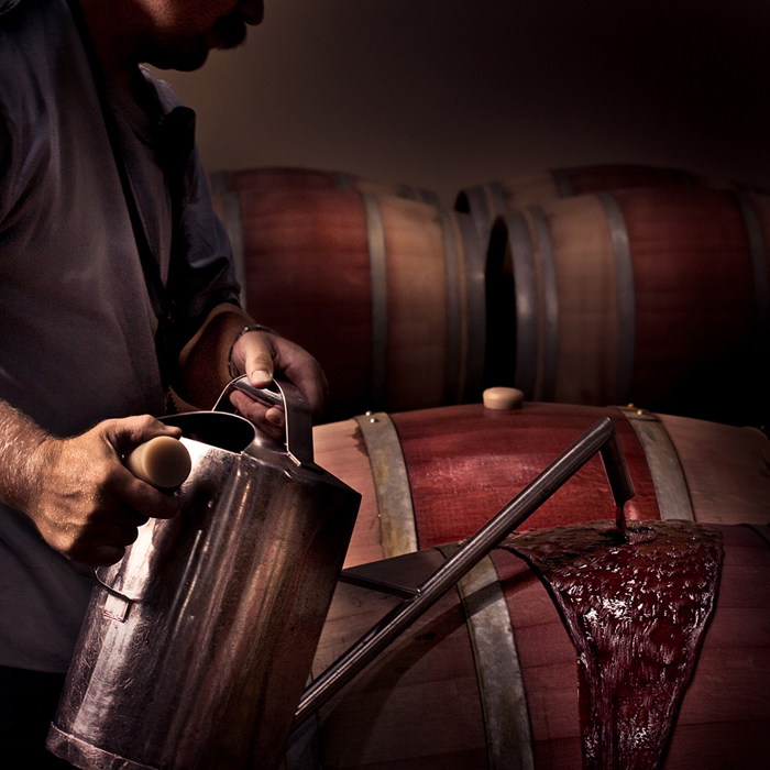 Adobe Portfolio winemaking grapes Vineyards Location Photography corporate photography annual report photography editorial photography advertising p[hotography landscape photography wine portraits barrel room Crush wine tasting agriculture fermenting