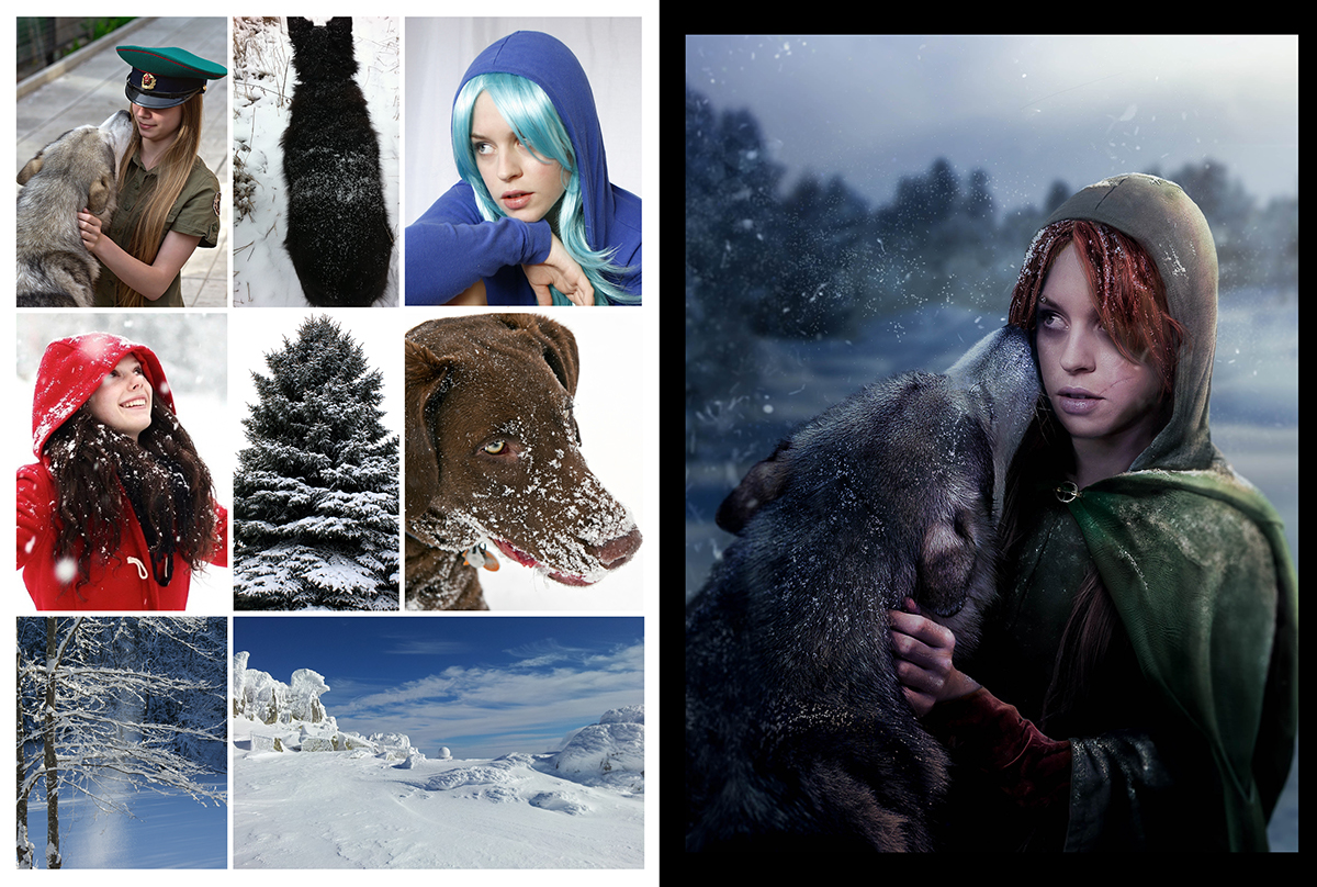 photoshop compositing wolf snow Wildlings