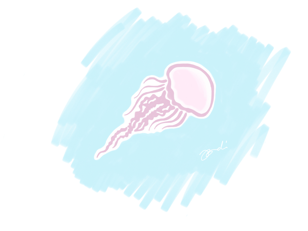 AdobeSketch marine life sea creatures