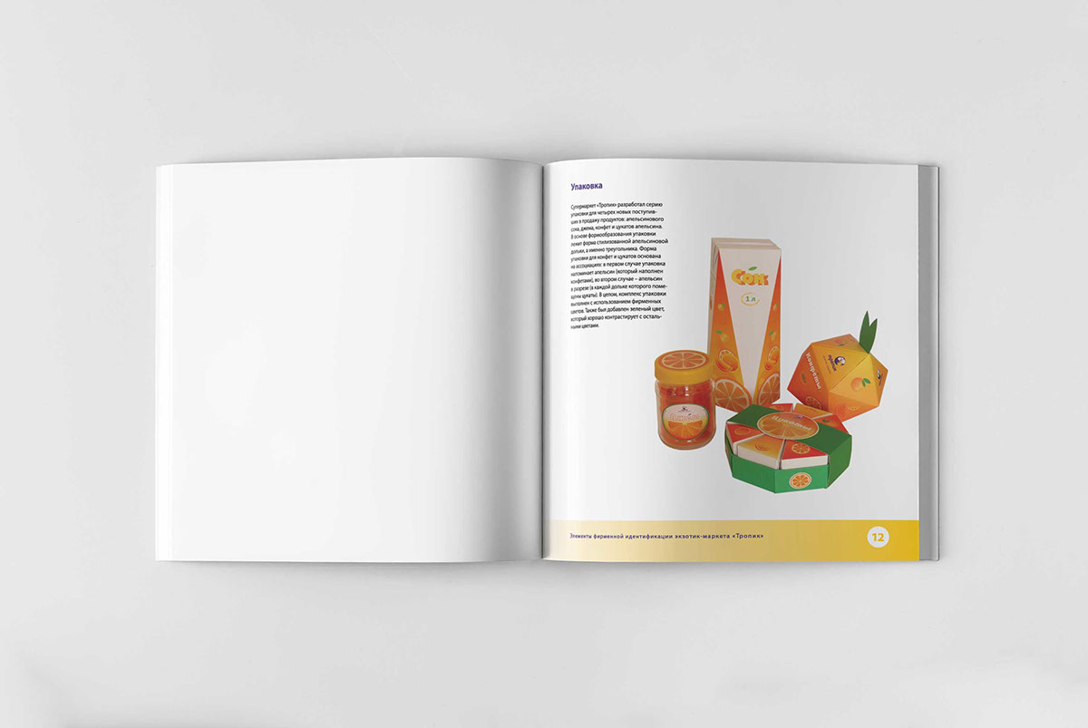 identity graphic design  logo brandbook Booklet pictograms branding  pattern Packaging