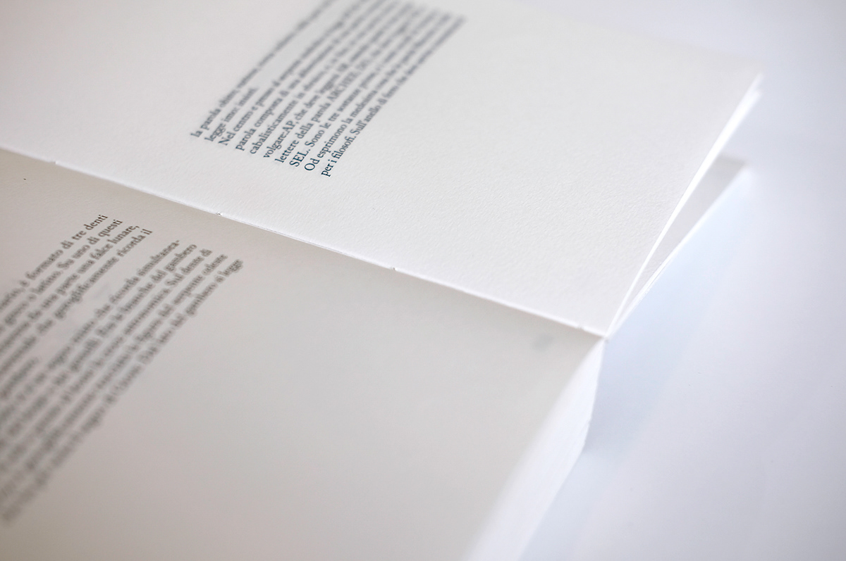 visual book libro visivo Editorial Project typography   polimi Visual Communication graphic design  Minimalism Avanguardism experimental