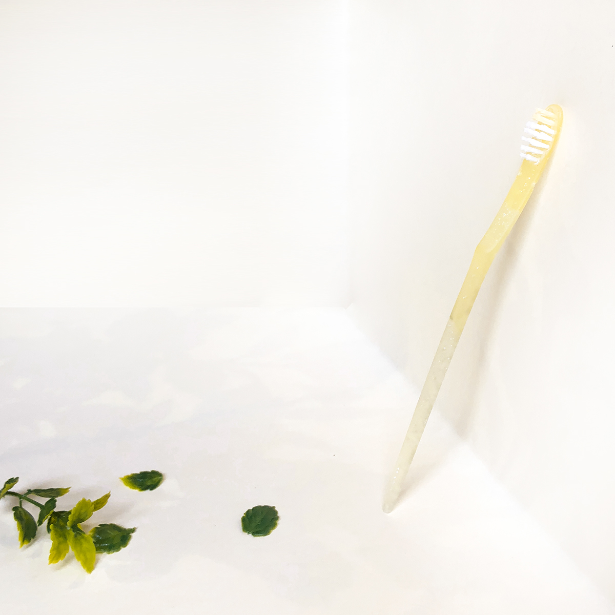 product design  toothbrush Bionic industrial design  Photography  art simple Minimalism design