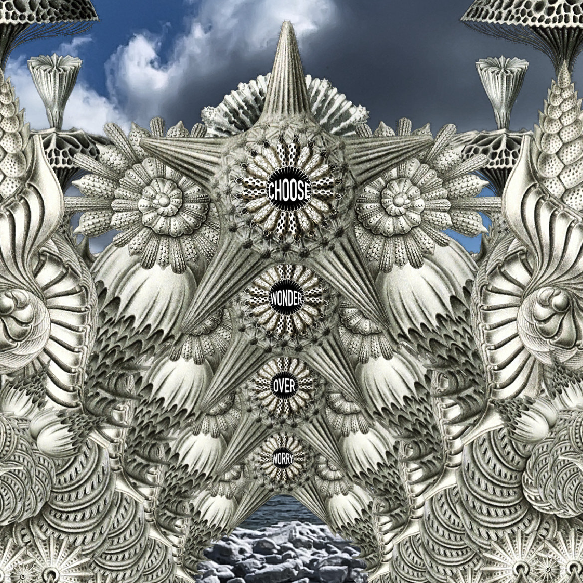 aero analog architecture augmented reality botanical collage dream immersive surreal fantasy