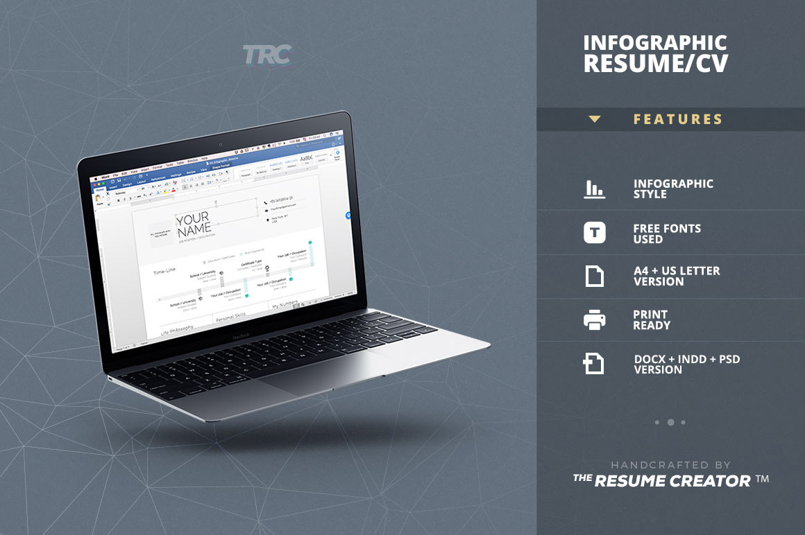 freebie infographic resume CV Curriculum Vitae visual resume free resume template lebenslauf resume template infographic cv