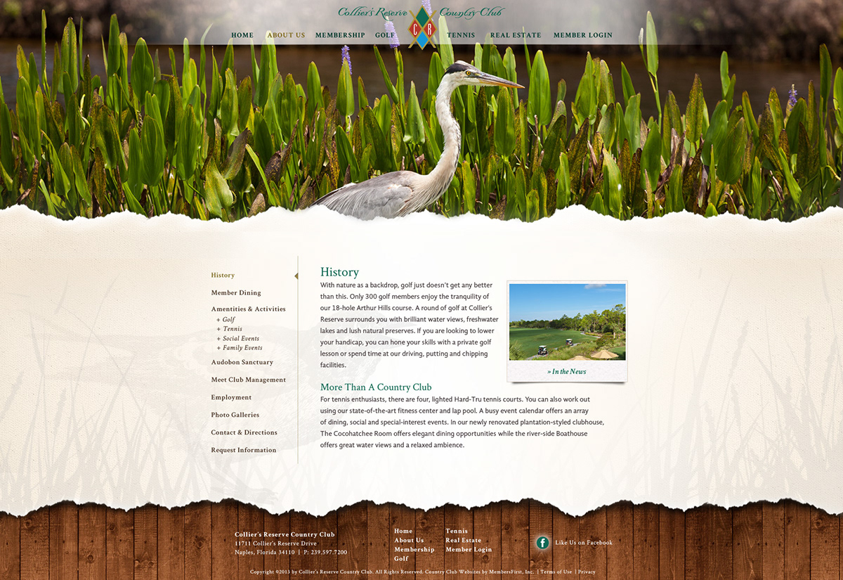 Website new texture paper homepage Mockup