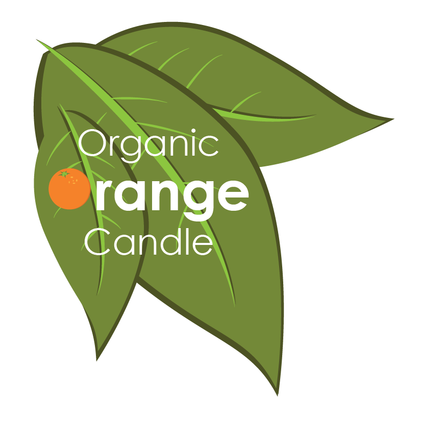 san francisco SANFRAN California usa flat geometric simple organic DIY orange candle Olive Oil vector instructions