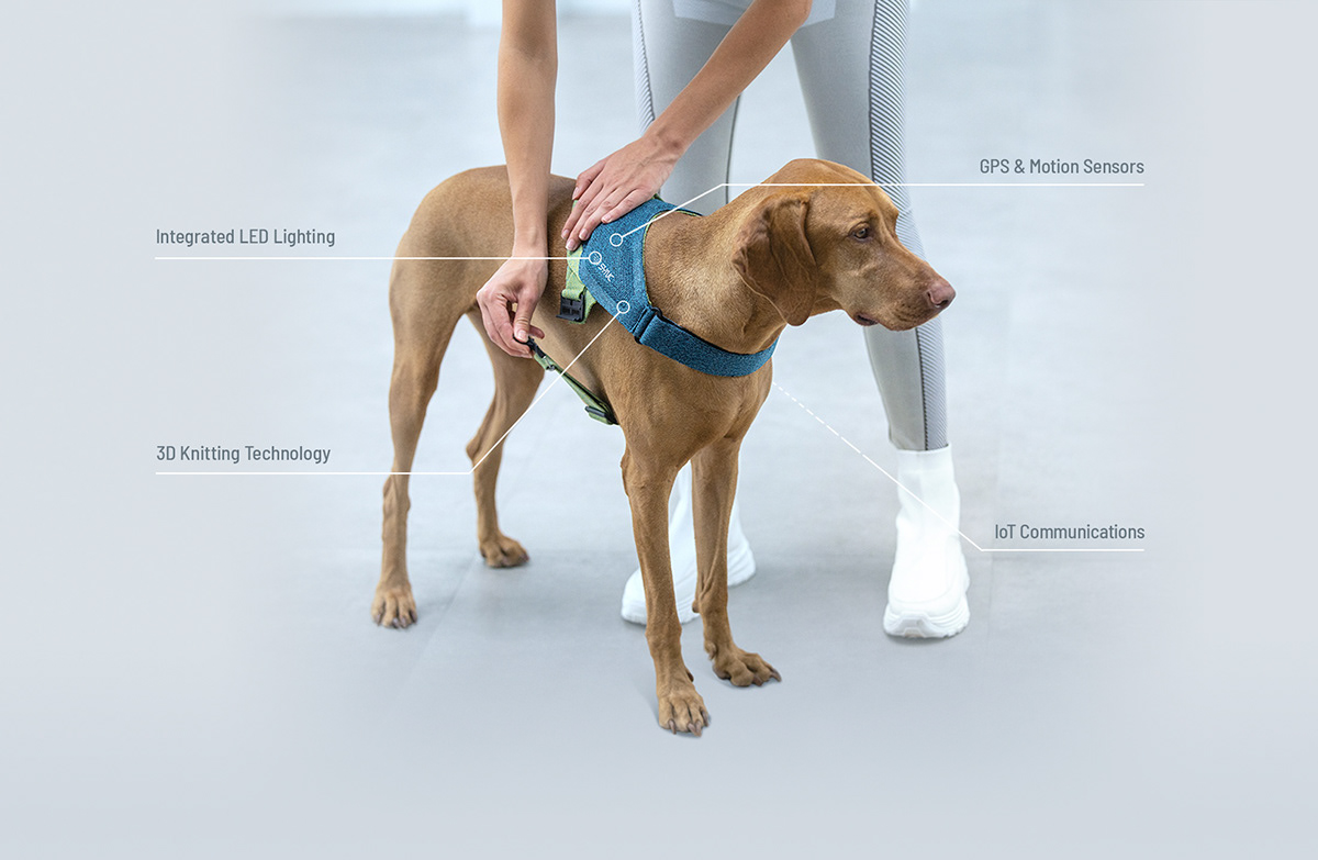 Wearable Technology product design  animal Pet Smart Lighting Design  material design knitting dog harness