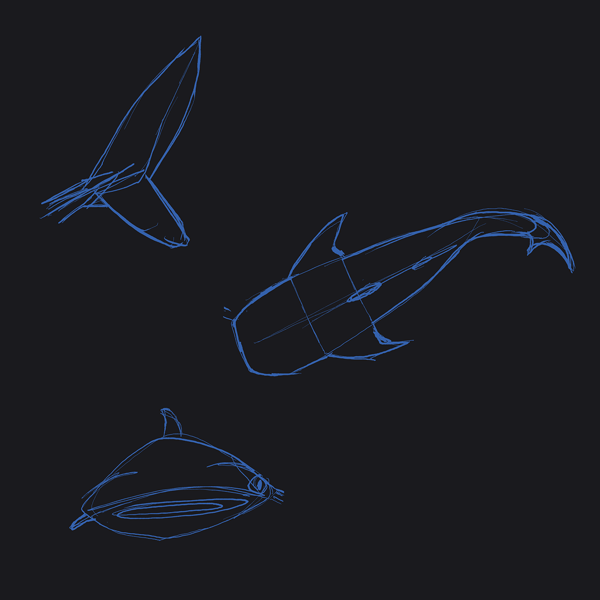Digital Art  Hammerhead Shark ILLUSTRATION  sharks sketch whale shark
