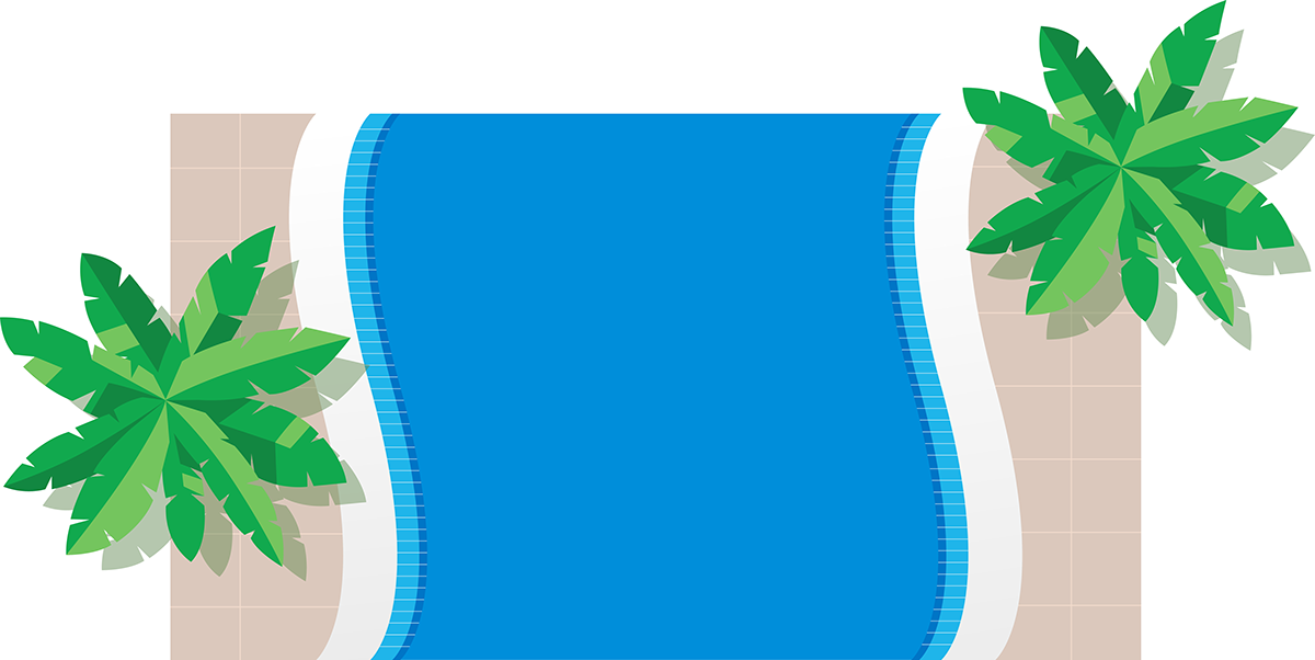 Adobe Portfolio animação animation  ILLUSTRATION  Ilustração piscina Pool summer verão vetor